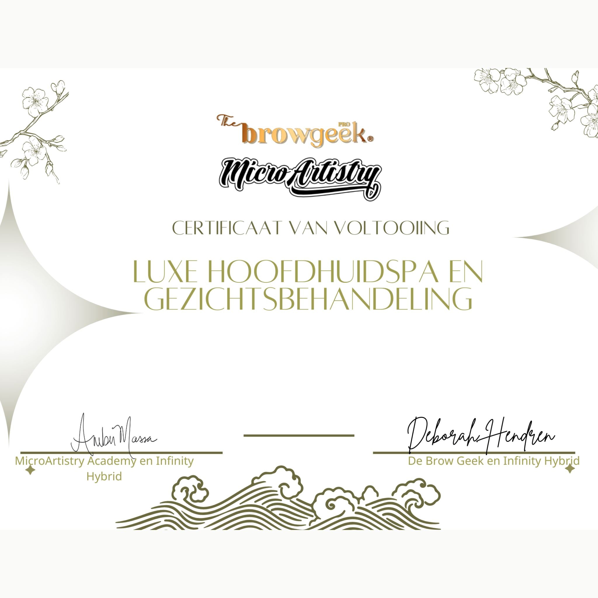 The Brow Geek x MicroArtistry | ONLINE COURSE | Luxe Hoofdhuid Spa Behandeling The Brow Geek