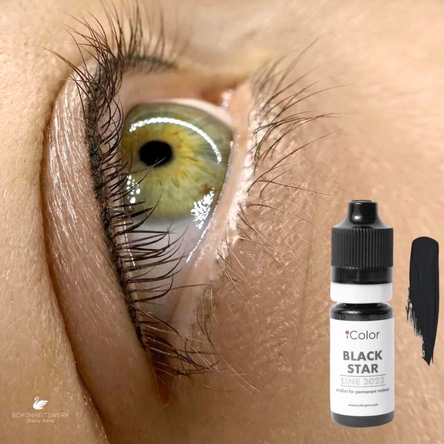 iCOLOR | BLACK STAR iCOLOR