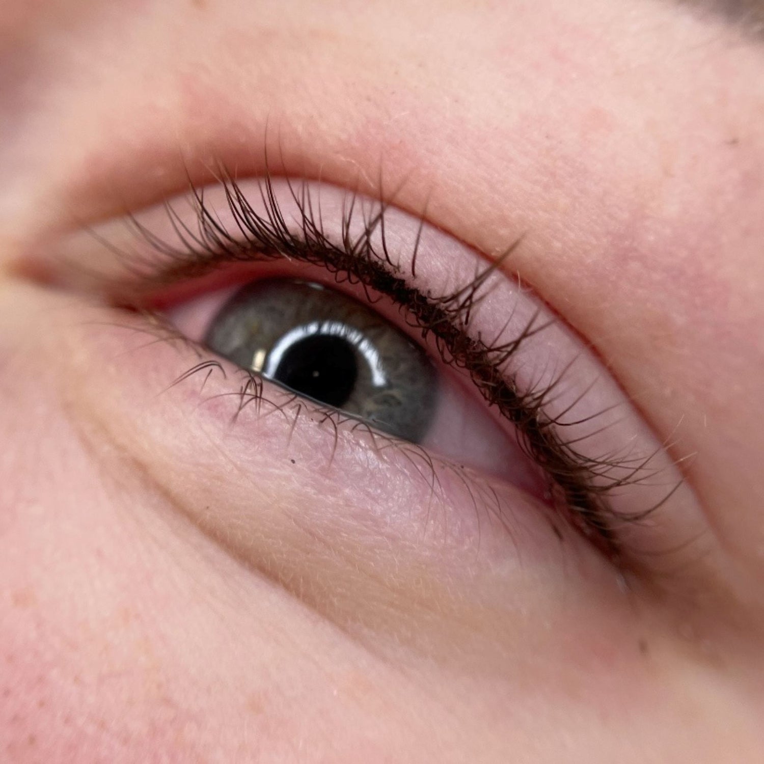 iCOLOR | BLACK STAR iCOLOR