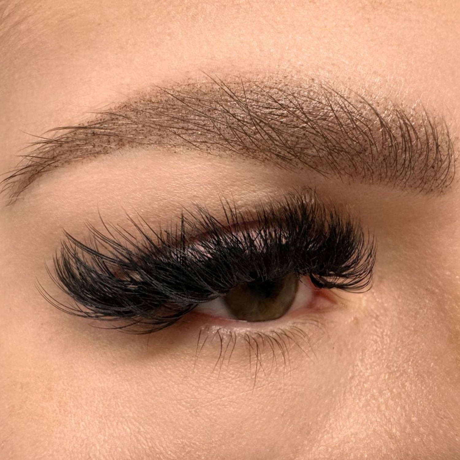 iCOLOR | DARK COFFEE iCOLOR