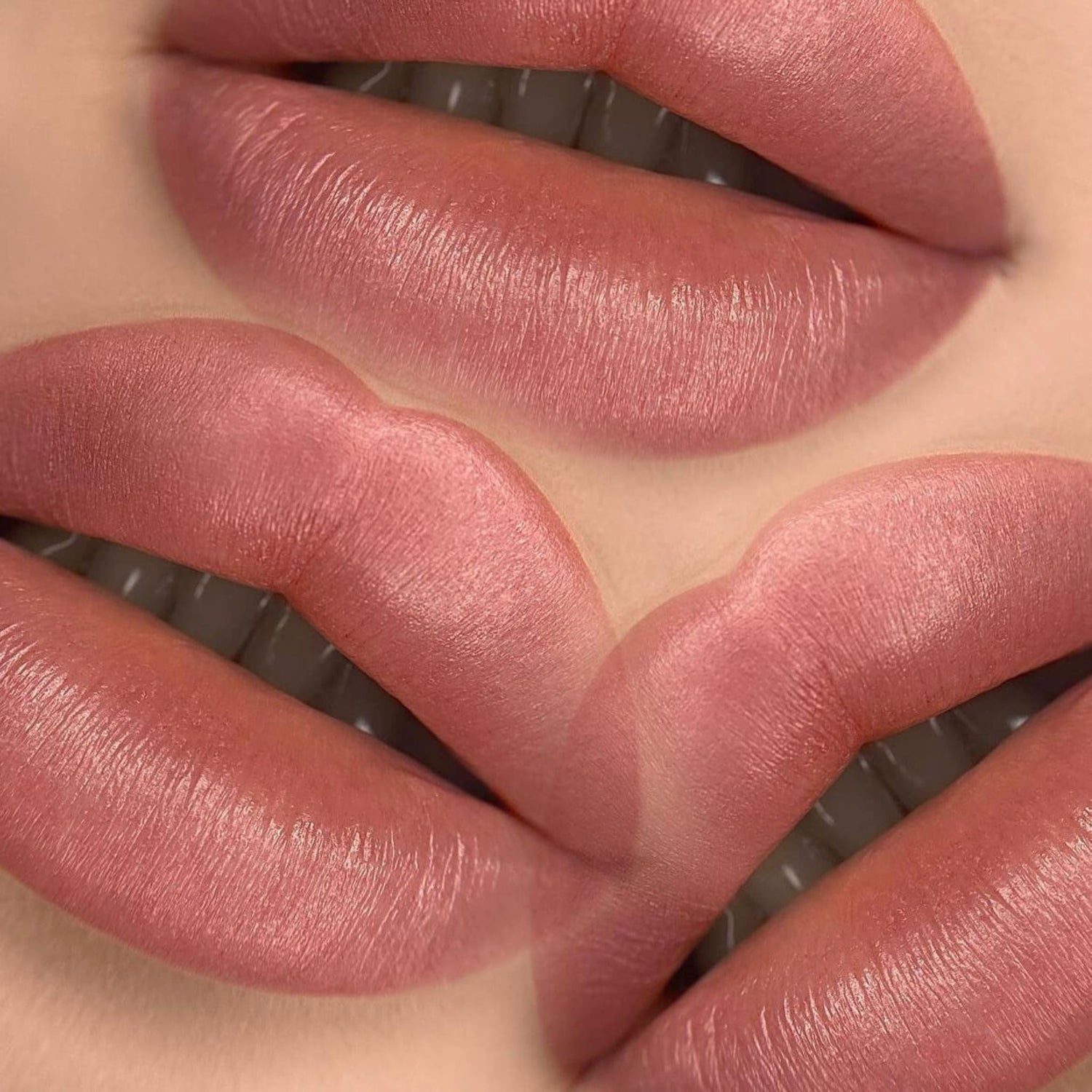 iCOLOR | BELLINI iCOLOR