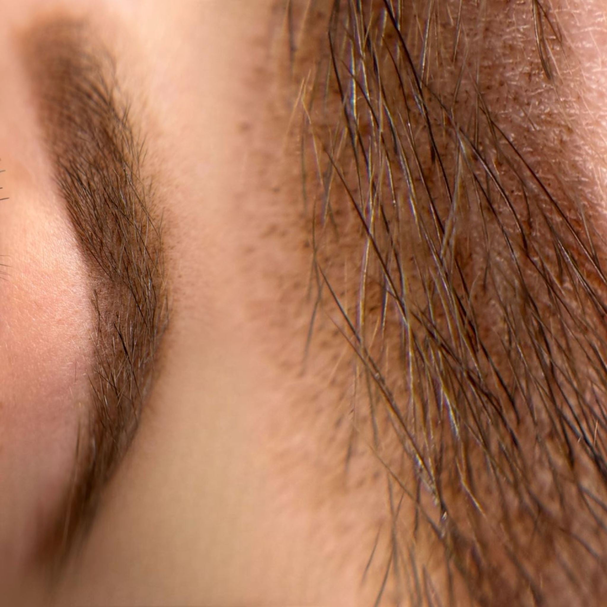 iCOLOR | ALMOND BLOND iCOLOR