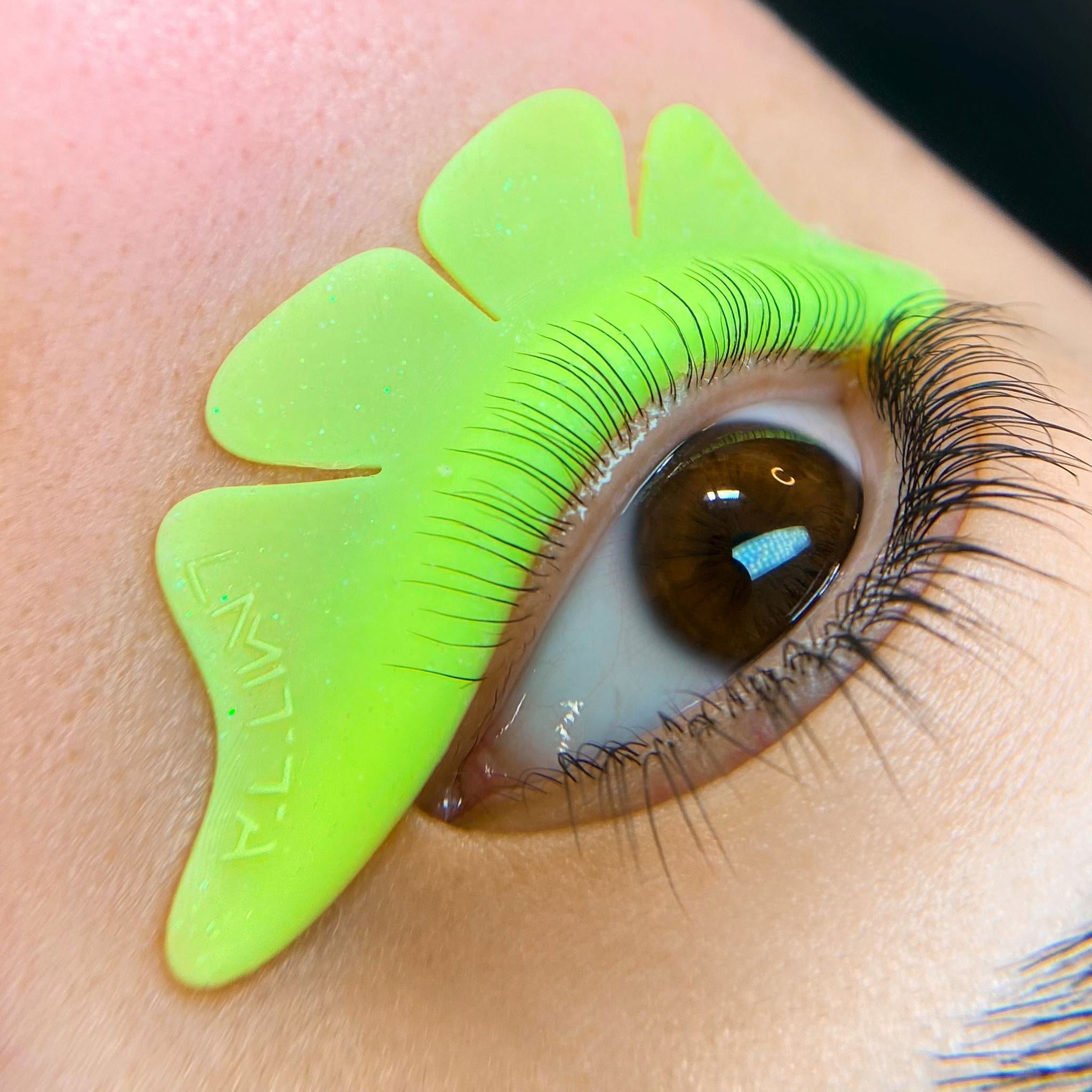 LAMITTA | BOTTOM LASH LIFT SHIELDS lamitta