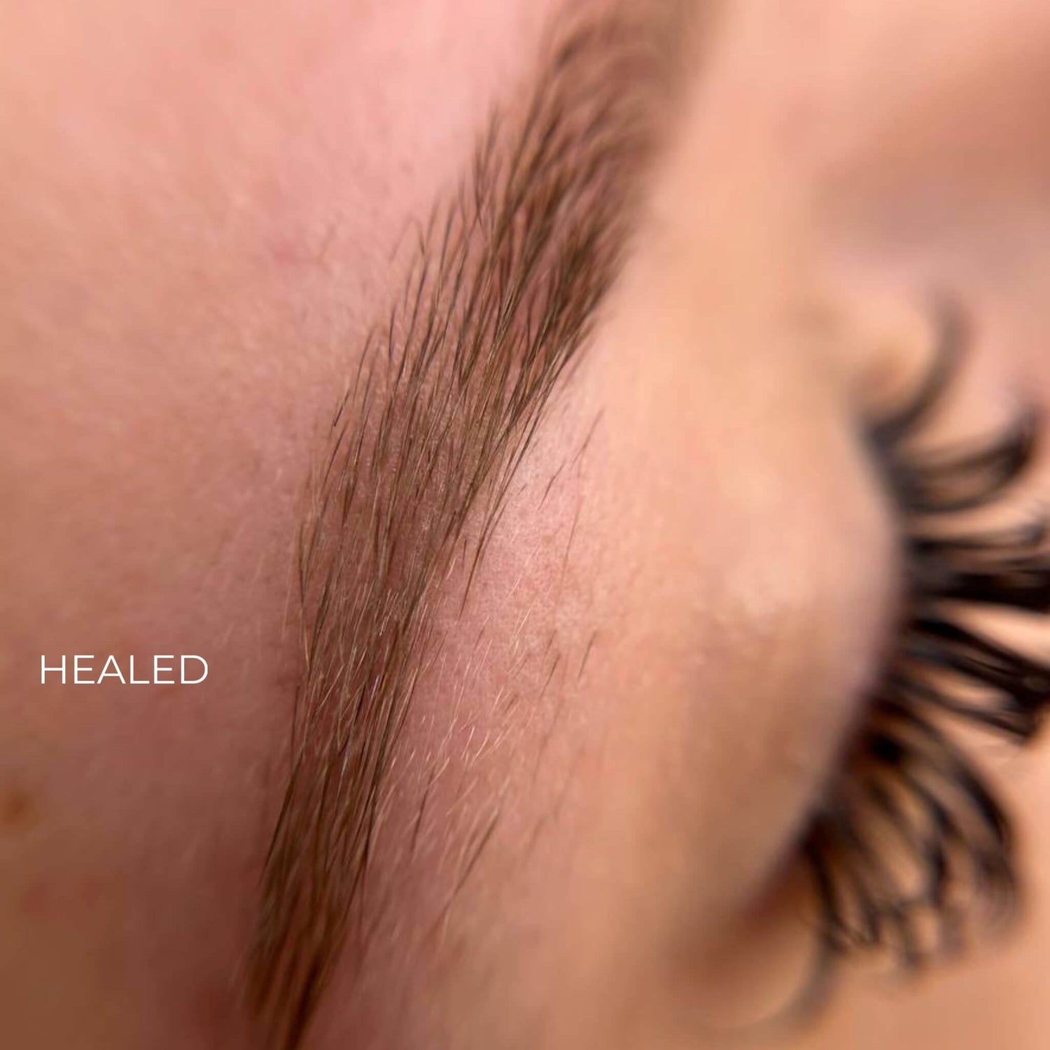 iCOLOR | ALMOND BLOND iCOLOR