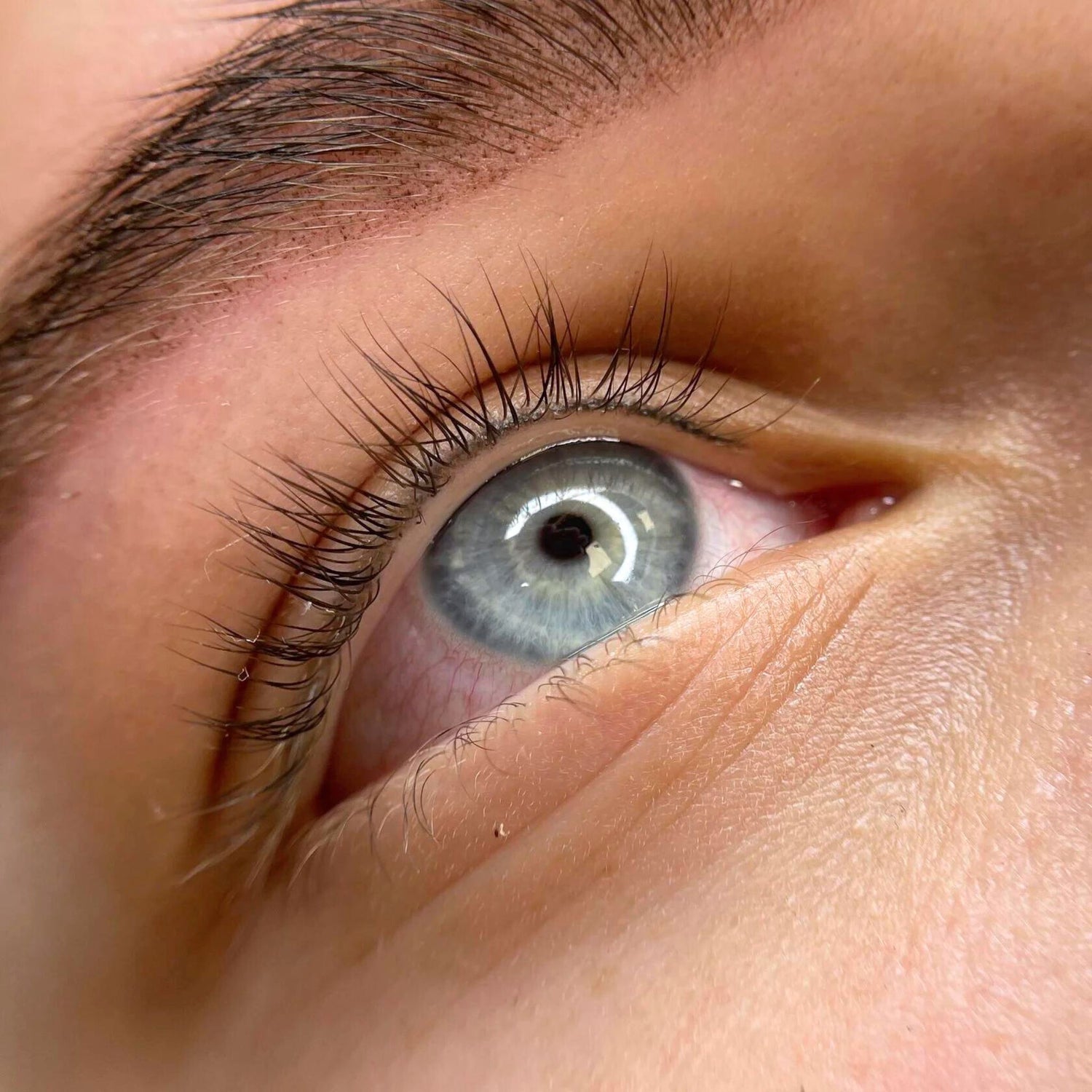 iCOLOR | BLACK STAR iCOLOR