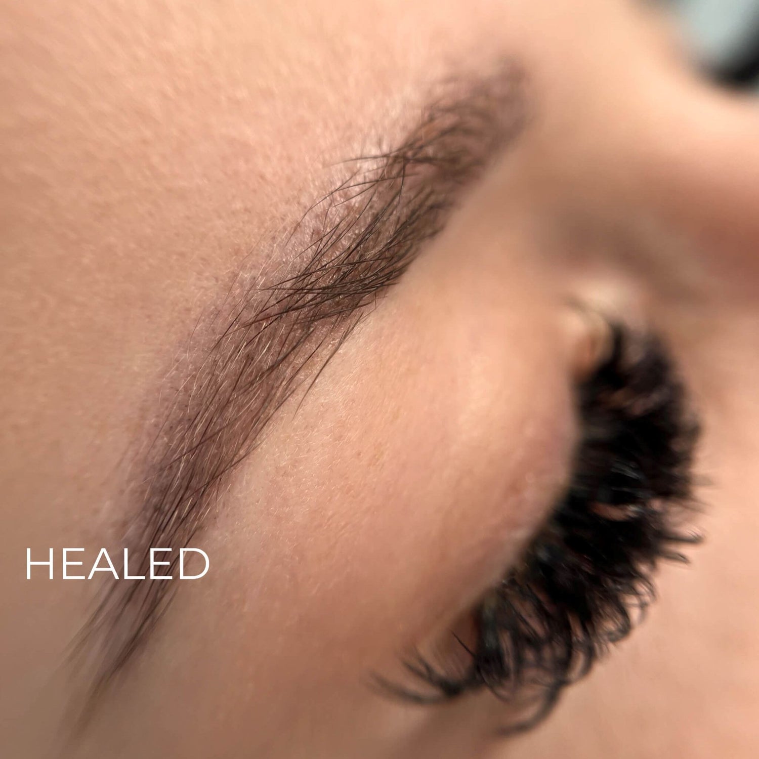 iCOLOR | DARK COFFEE iCOLOR