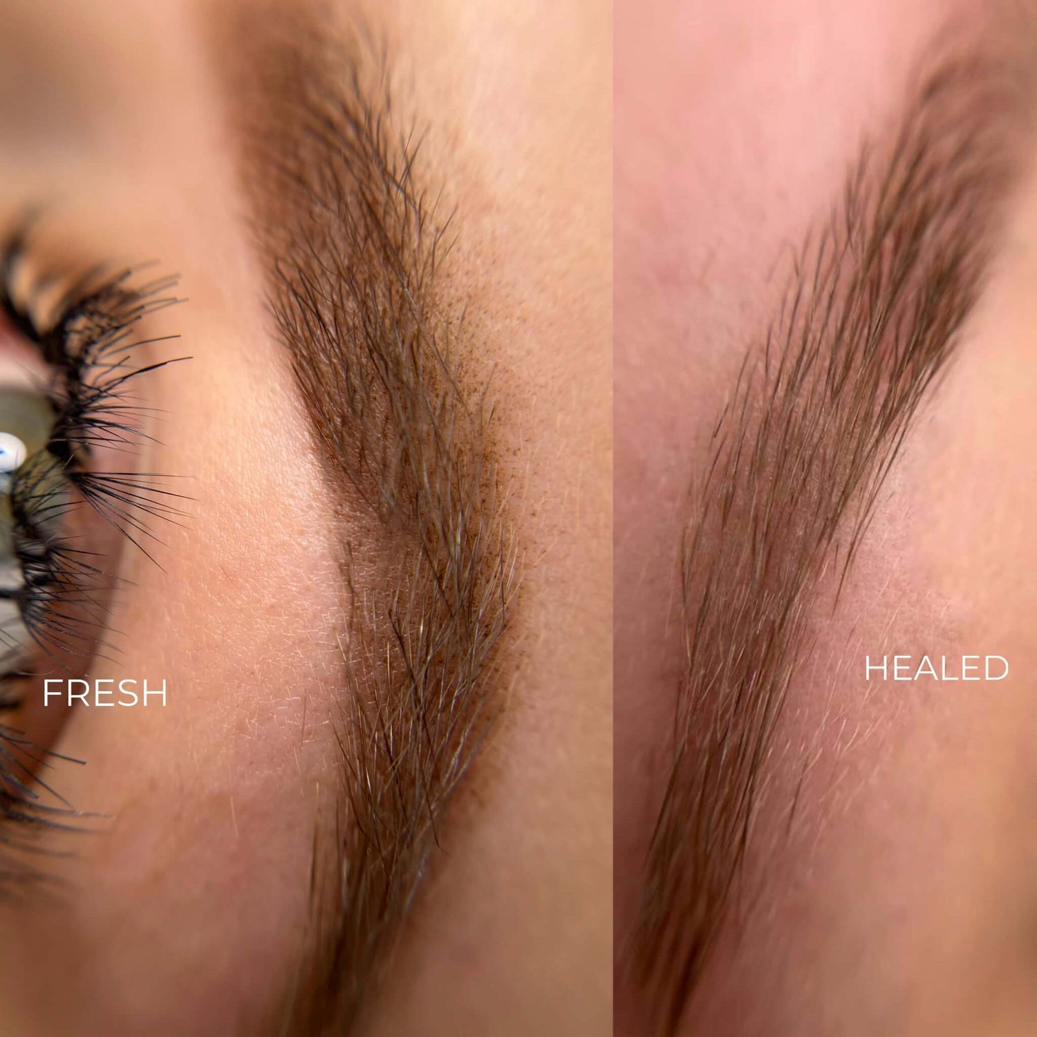 iCOLOR | ALMOND BLOND iCOLOR