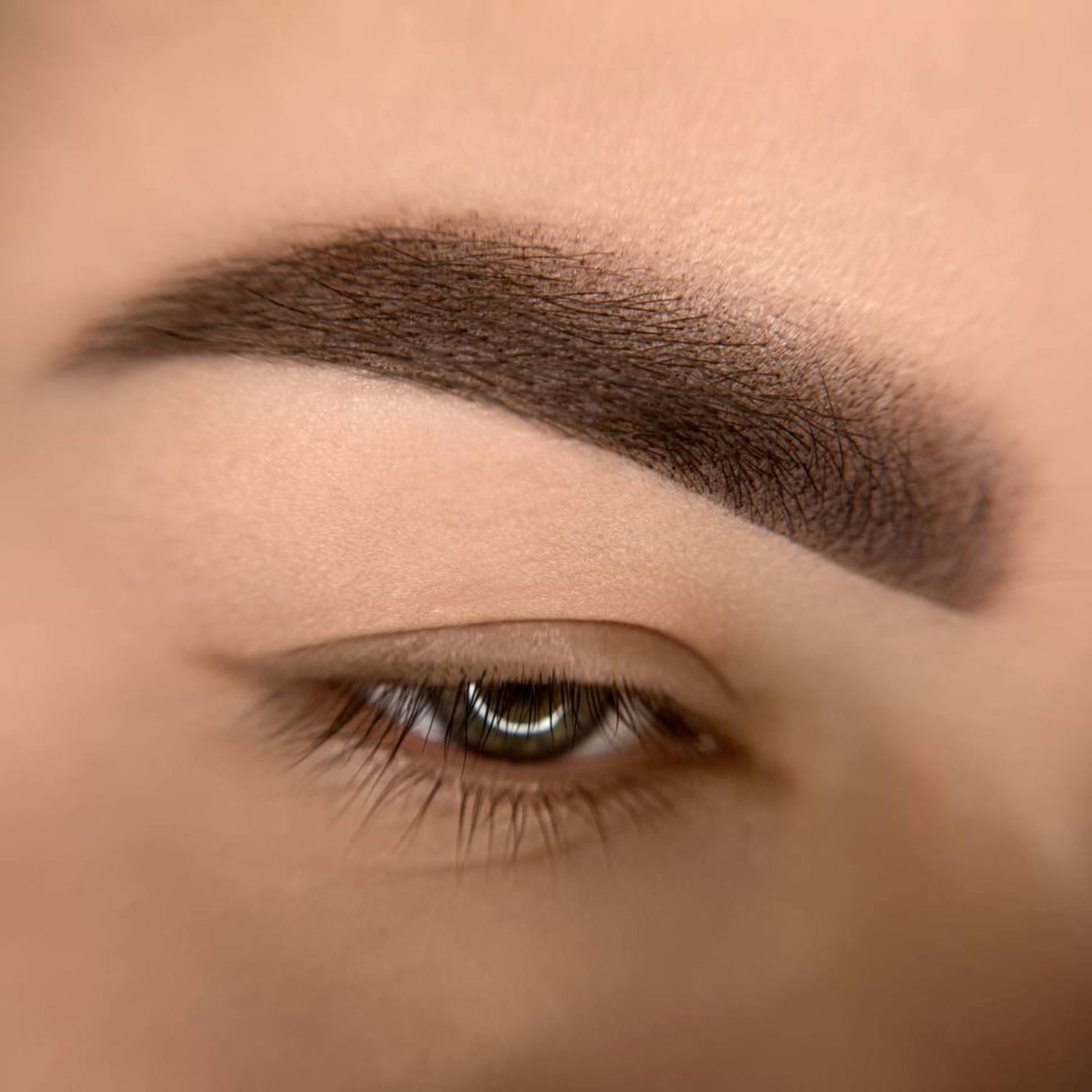 iCOLOR | CHIC BROWN iCOLOR