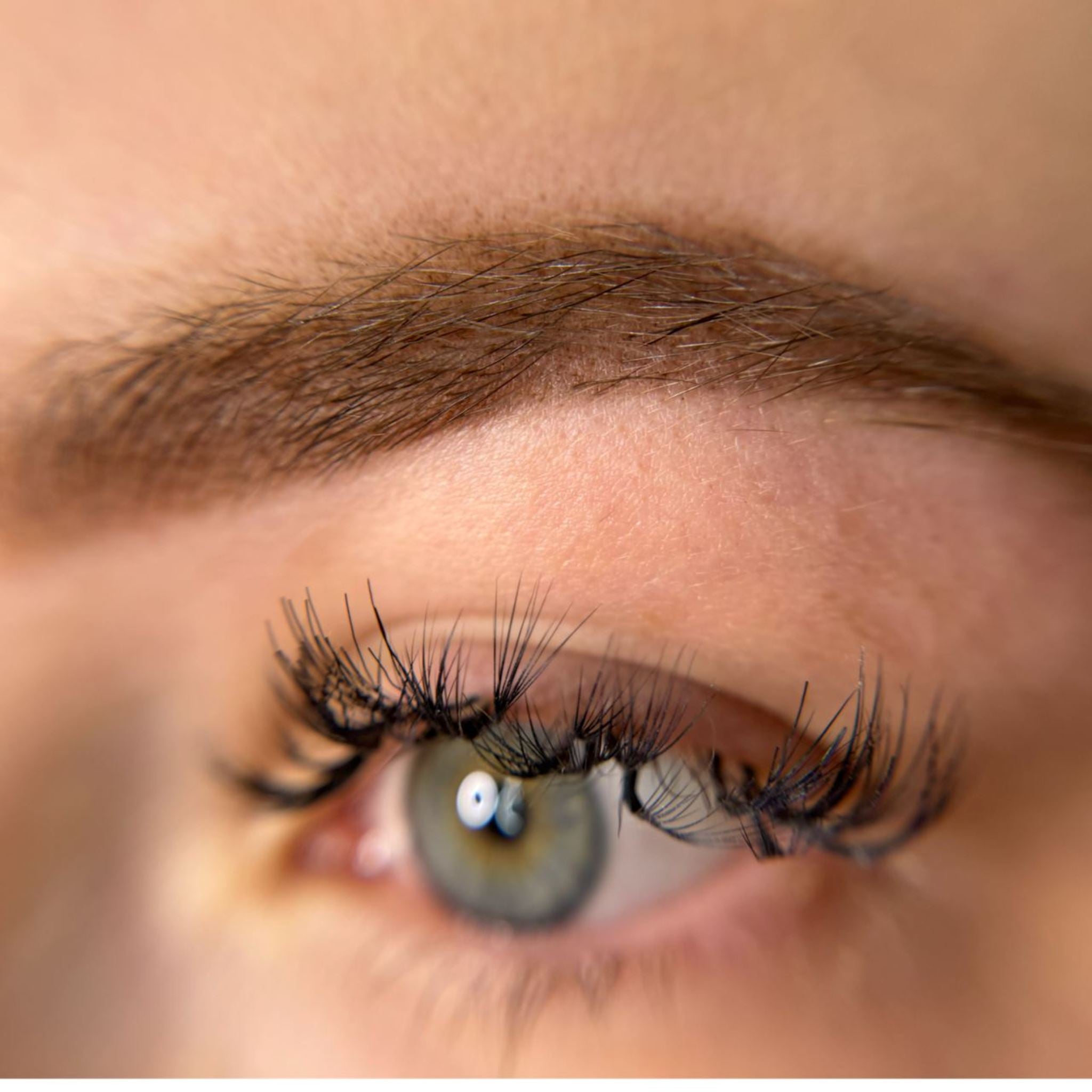 iCOLOR | ALMOND BLOND iCOLOR