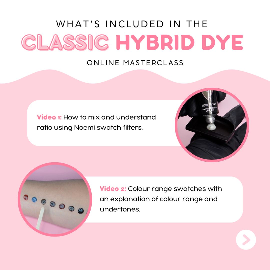 Noemi - Classic Hybrid Dye Masterclass Online NOEMI AUSTRALIA