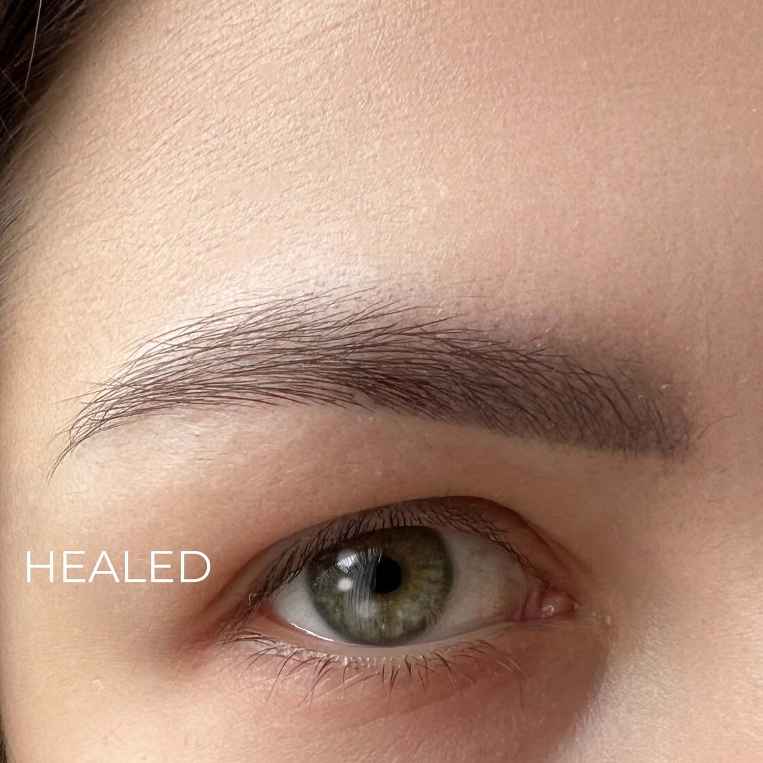 iCOLOR | CHIC BROWN iCOLOR