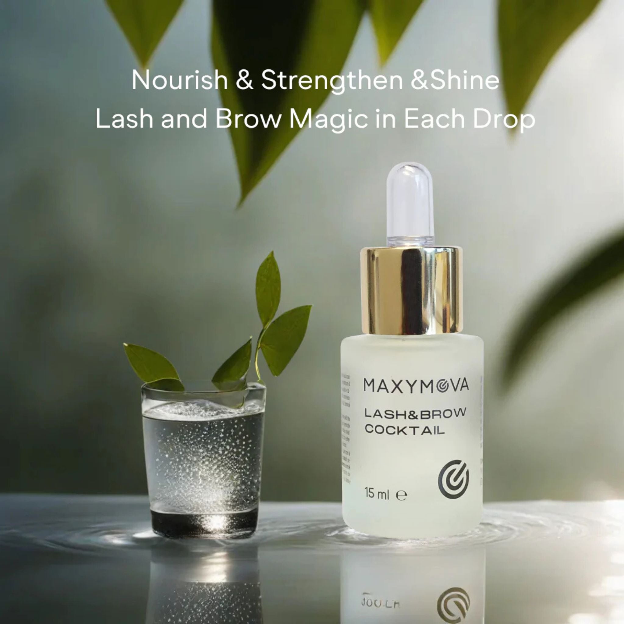 Maxymova | Lash & Brow Cocktail Maxymova