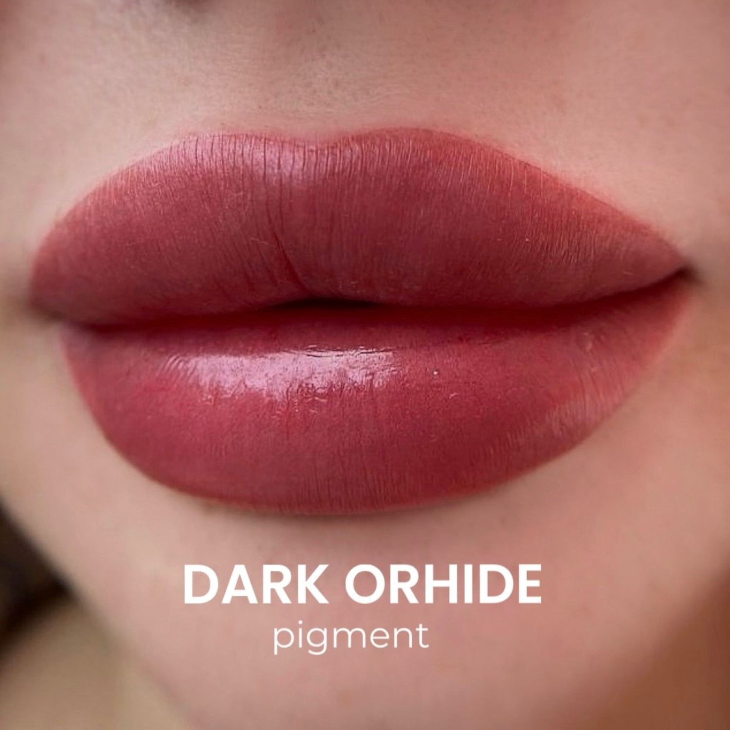 iCOLOR | ORHIDE SET iCOLOR