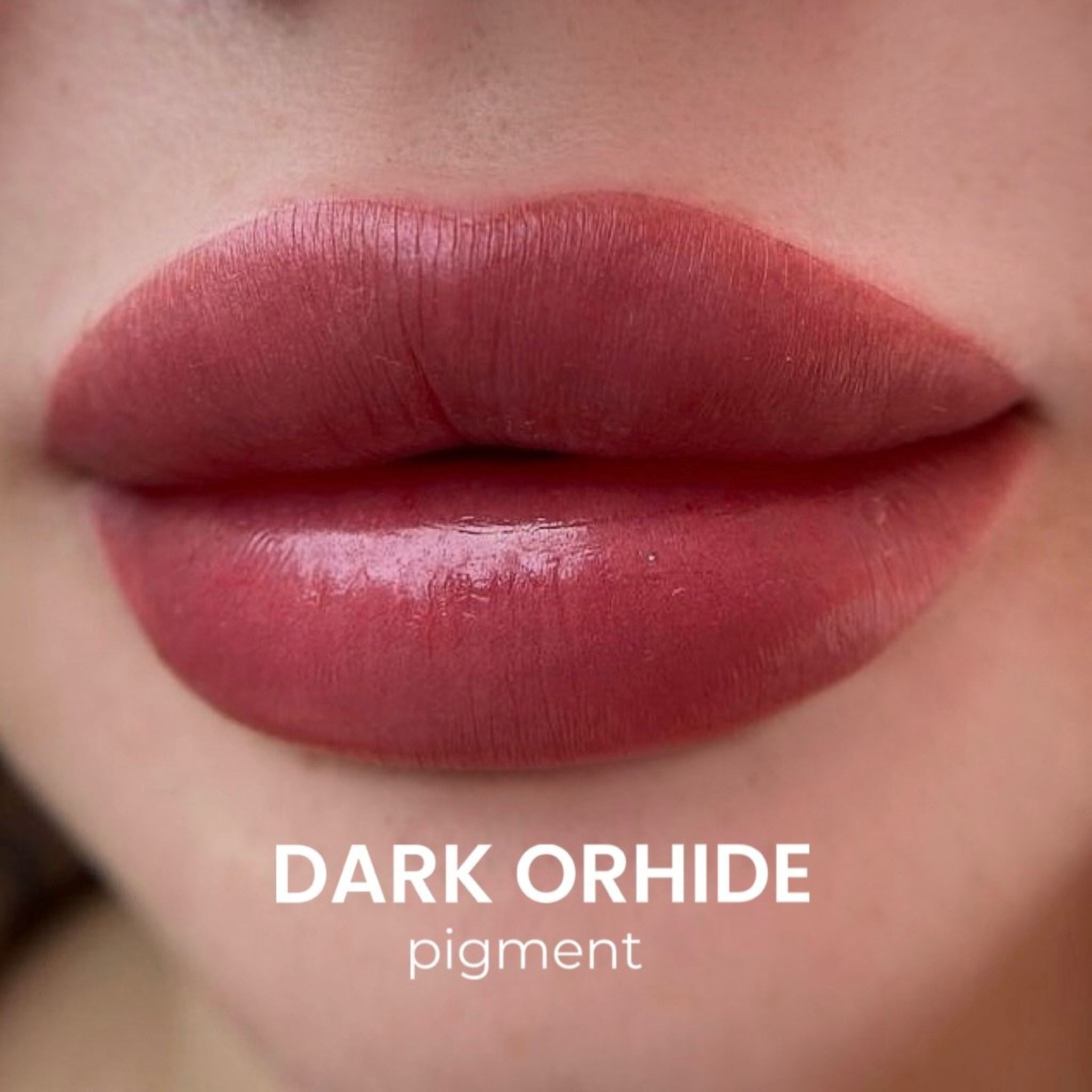 iCOLOR | ORHIDE SET iCOLOR