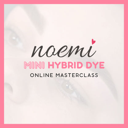 NOEMI - Mini Hybrid Dye Masterclass Online NOEMI AUSTRALIA 